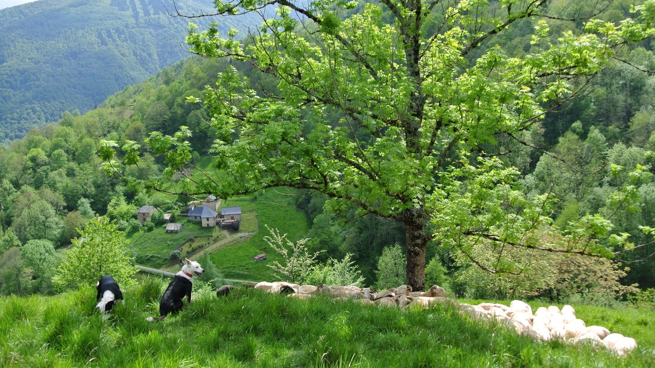 Photo of Outdoor in Seix