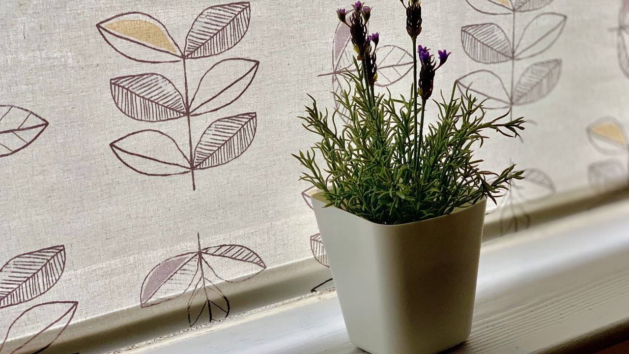 Photo of Others in Wellingborough