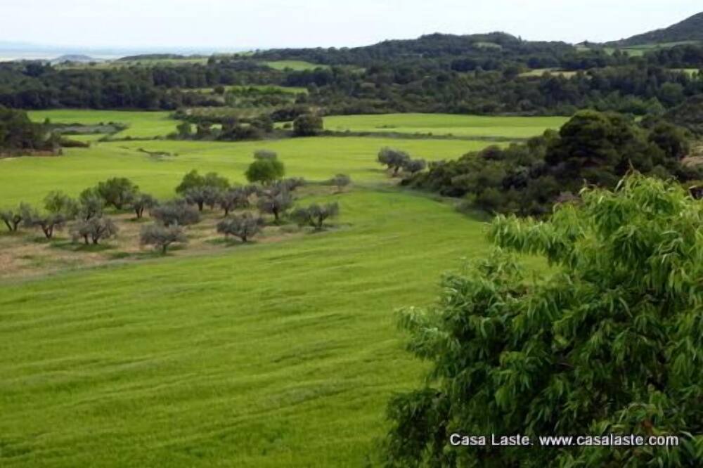 Photo of Others in Ardisa