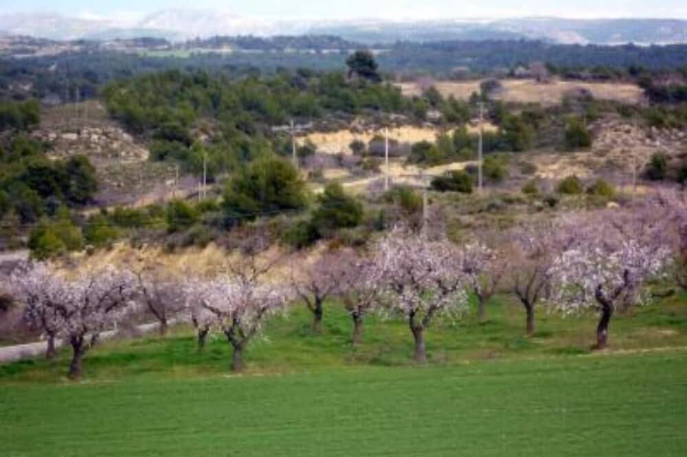 Photo of Others in Ardisa
