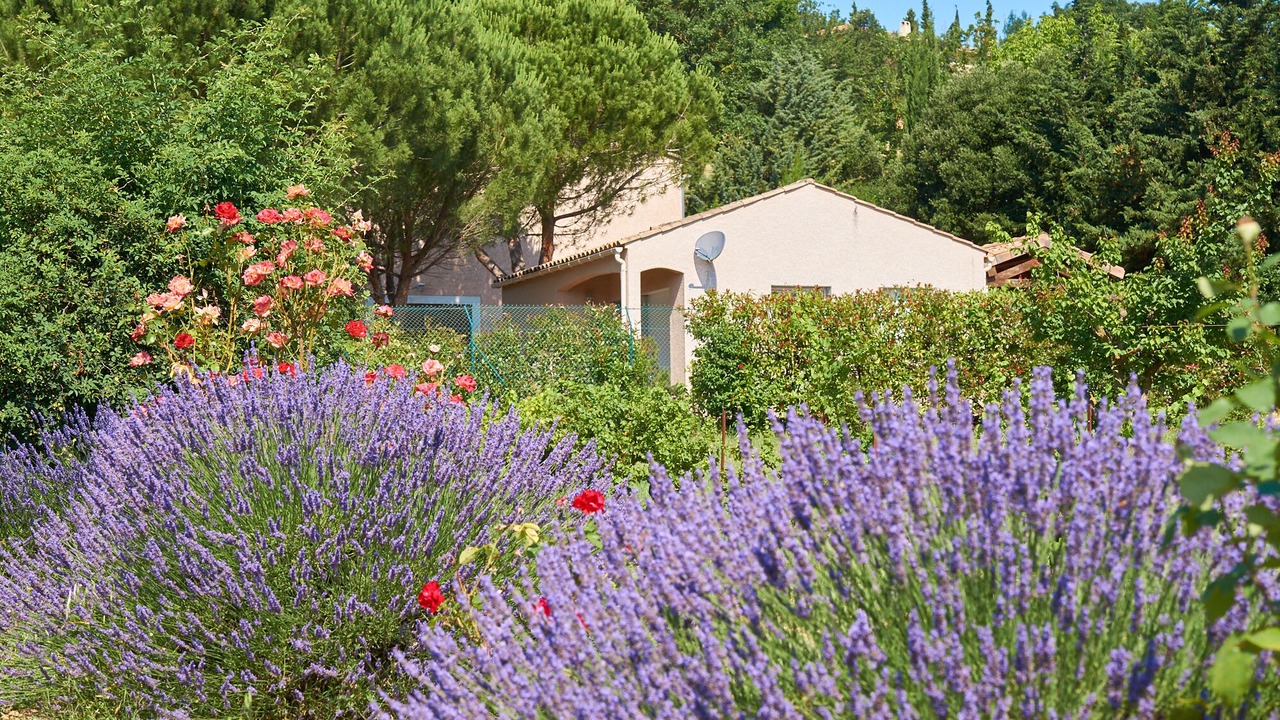 Photo of Outdoor in Limoux