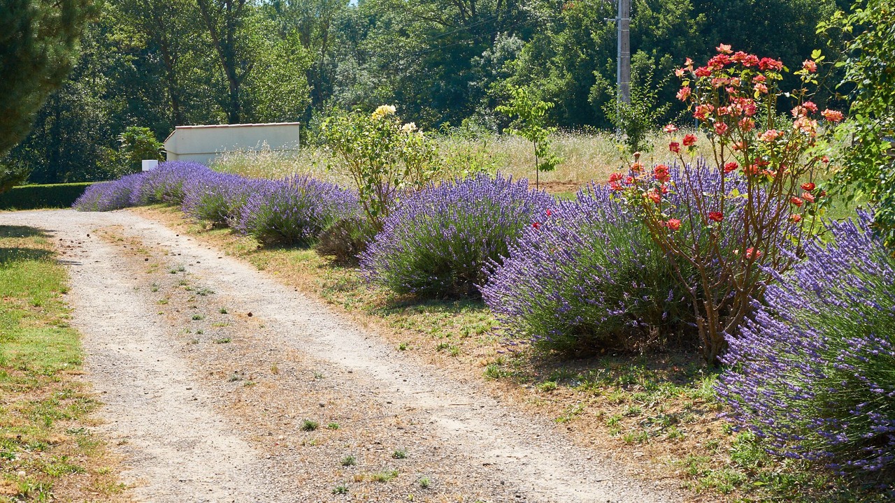 Photo of Outdoor in Limoux