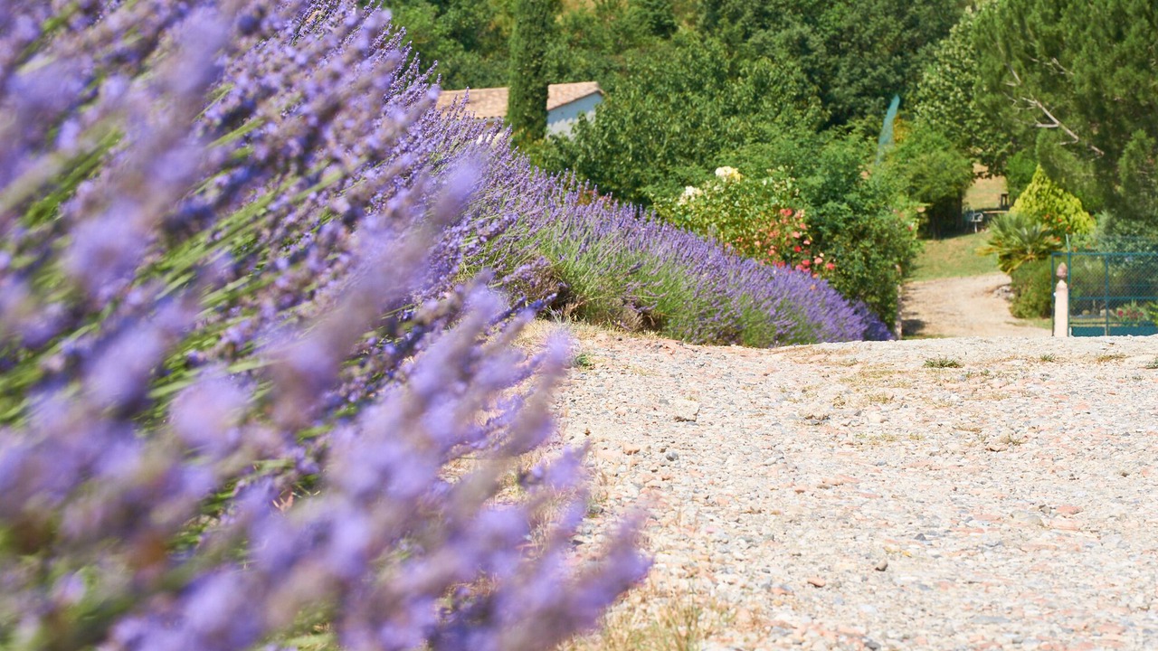 Photo of Outdoor in Limoux