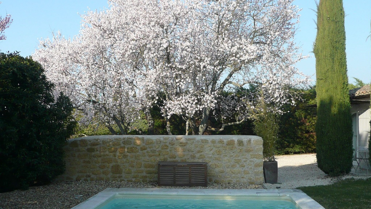 Photo of Outdoor in Puyvert