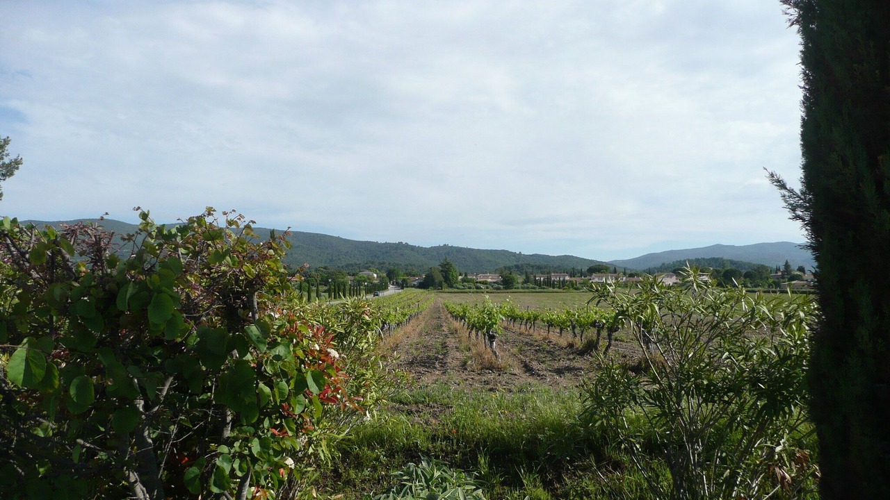 Photo of Outdoor in Puyvert