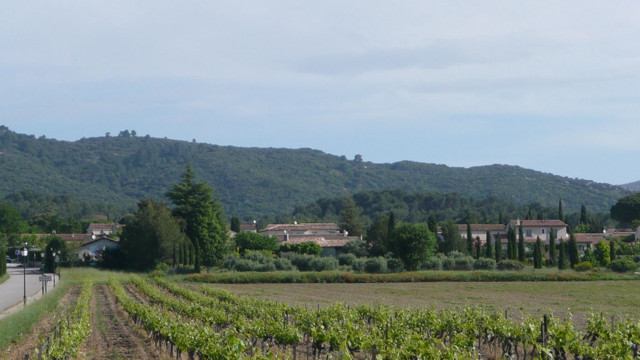 Photo of Others in Puyvert