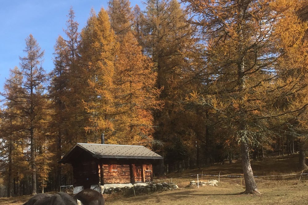 Photo of Outdoor in Ritzingen