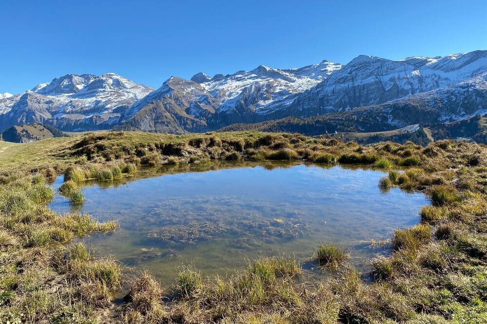 Photo of Outdoor in Ritzingen