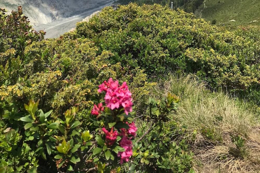 Photo of Outdoor in Ritzingen
