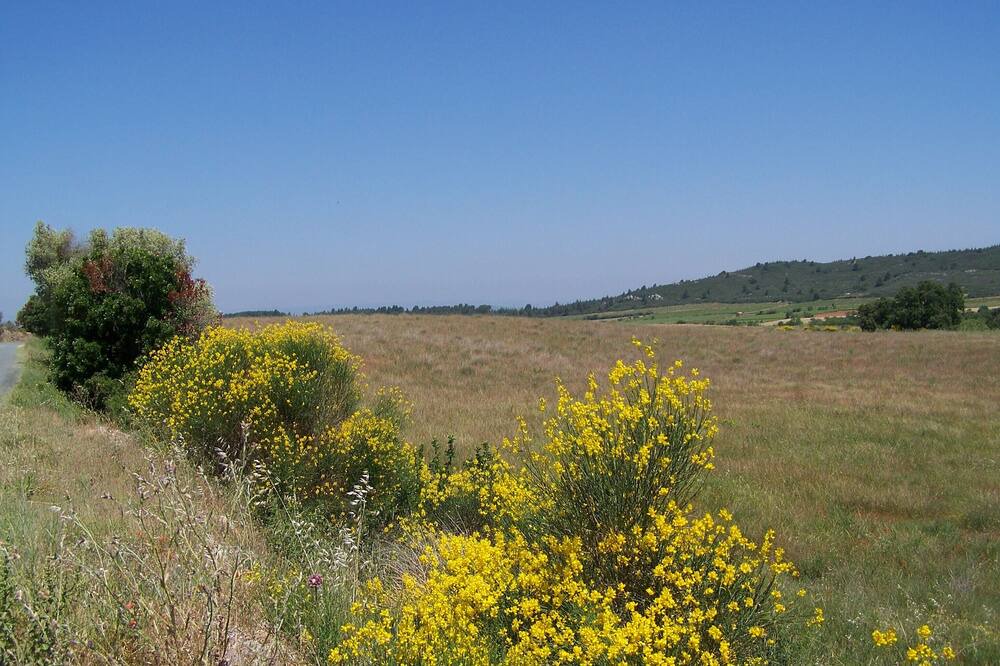Photo of Outdoor in Boutenac