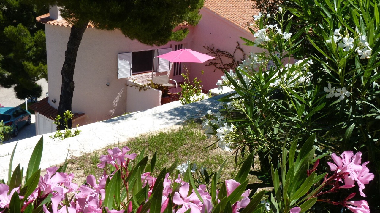Photo of Outdoor in Oliva