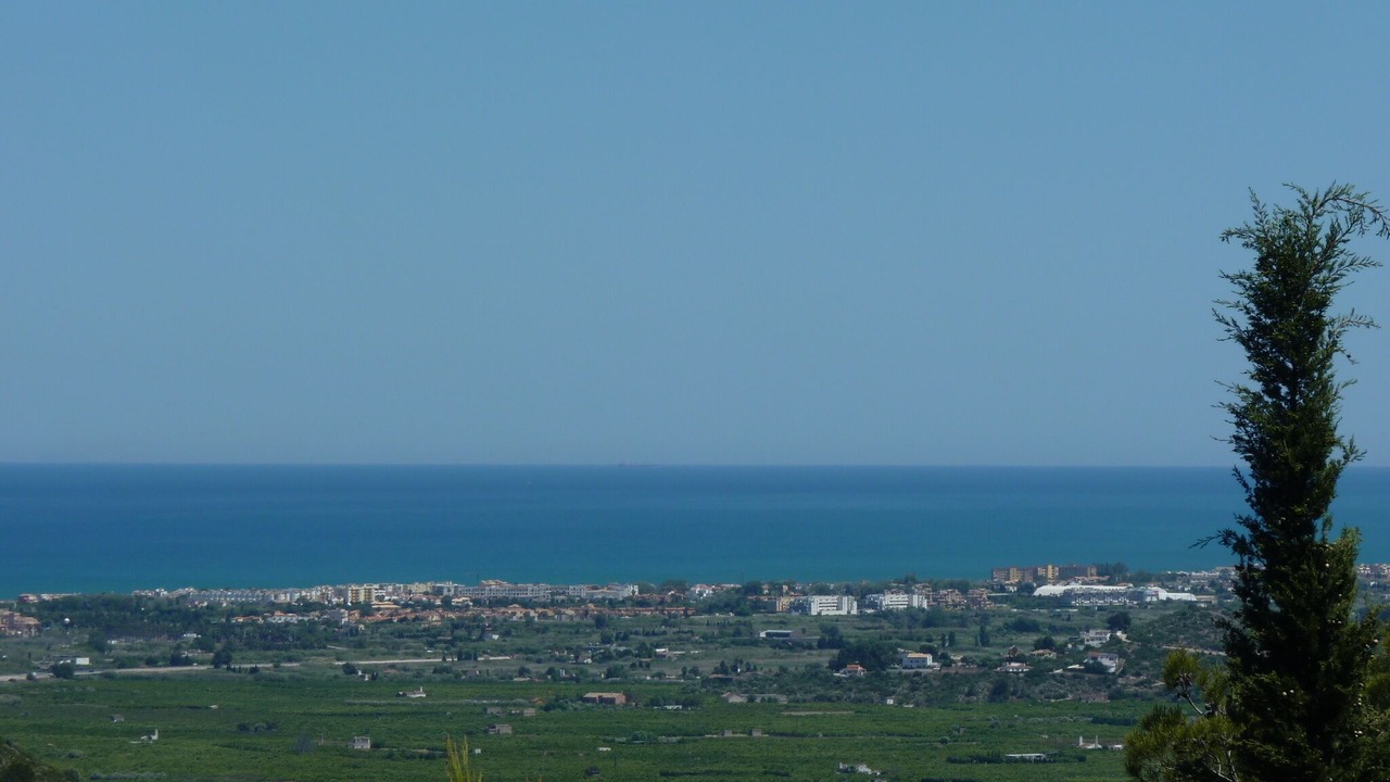Photo of Others in Oliva