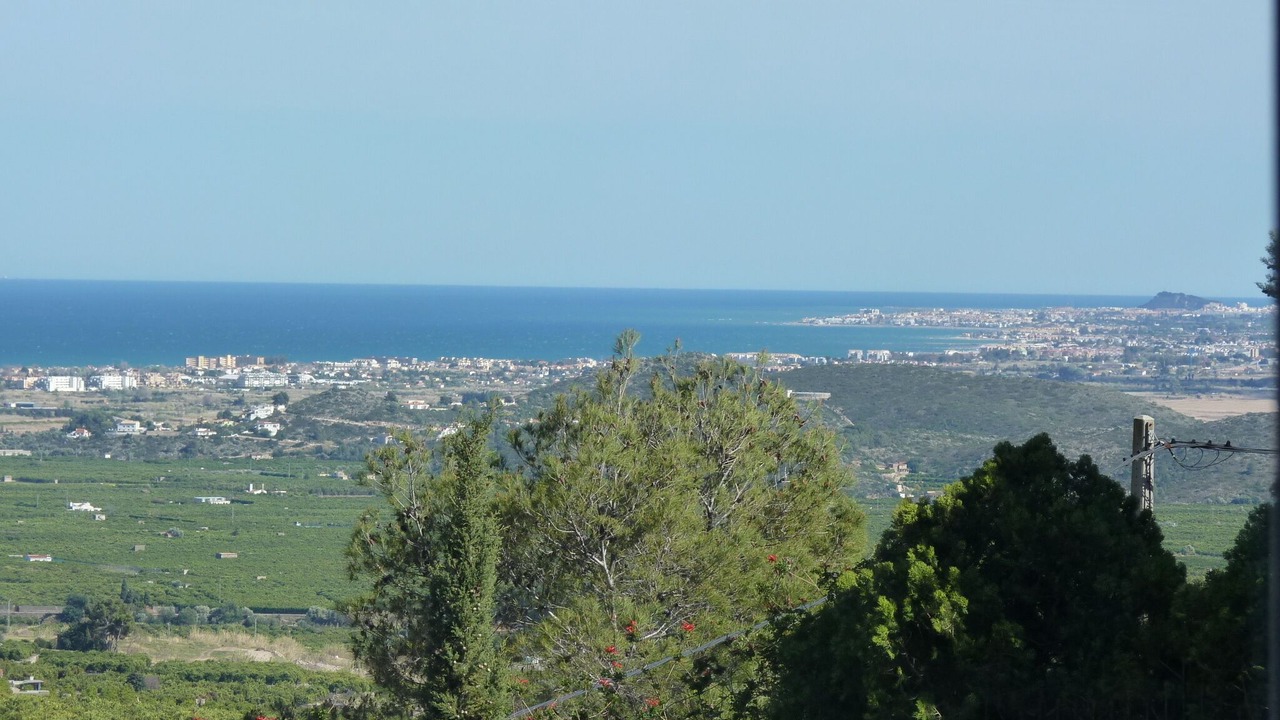 Photo of Others in Oliva