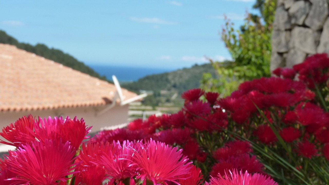 Photo of Outdoor in Oliva