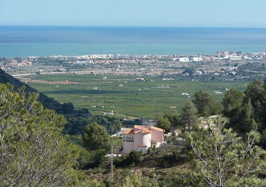 Photo of Outdoor in Oliva
