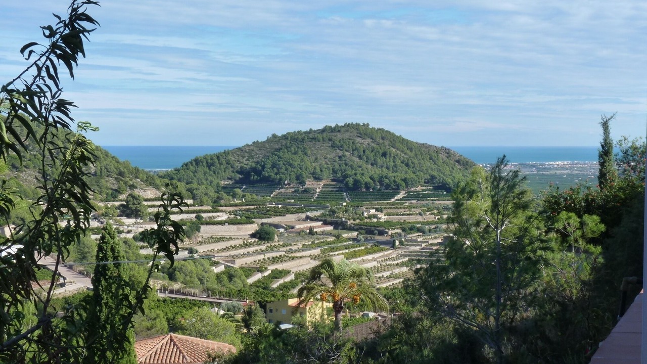 Photo of Others in Oliva