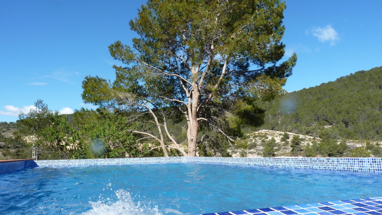 Photo of Outdoor in Oliva