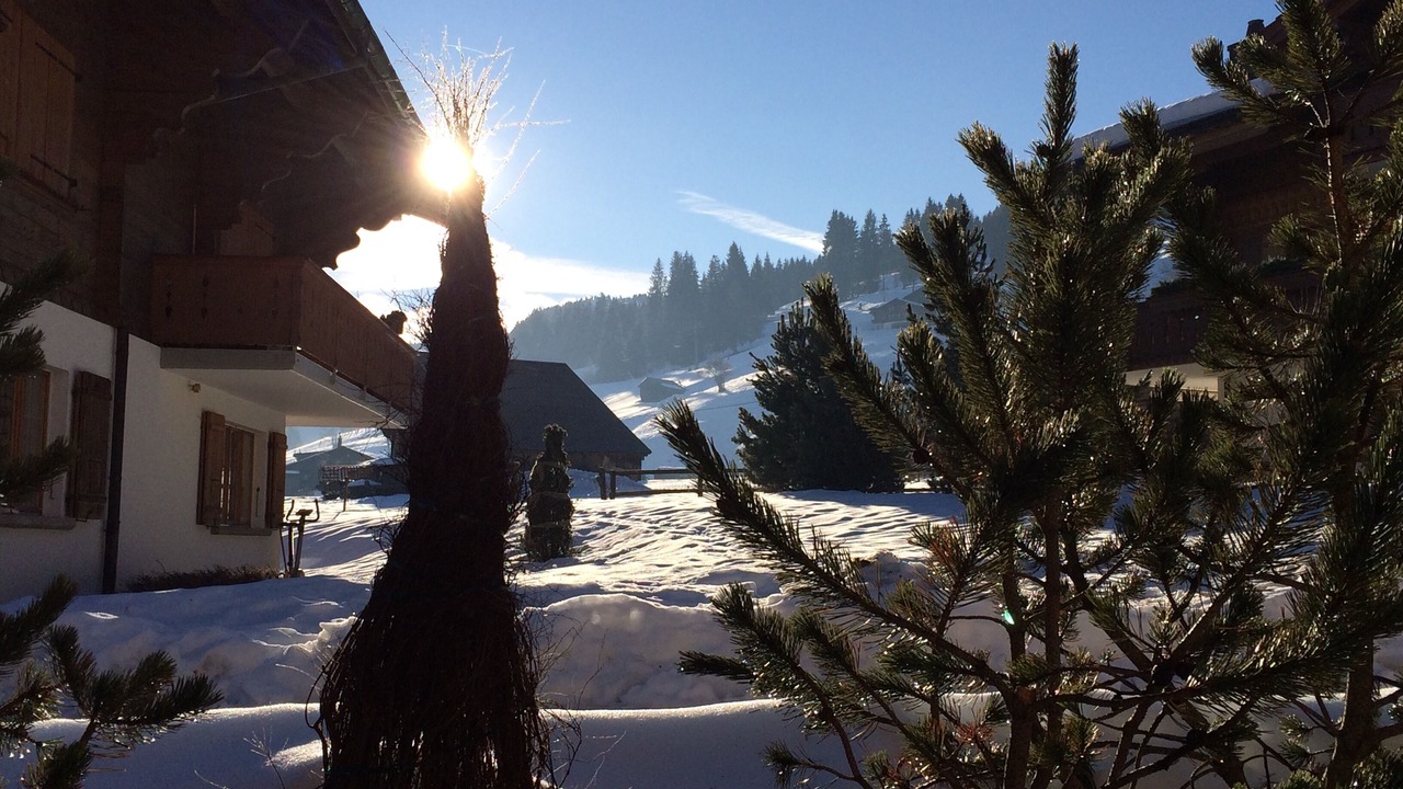 Photo of Outdoor in Saanen