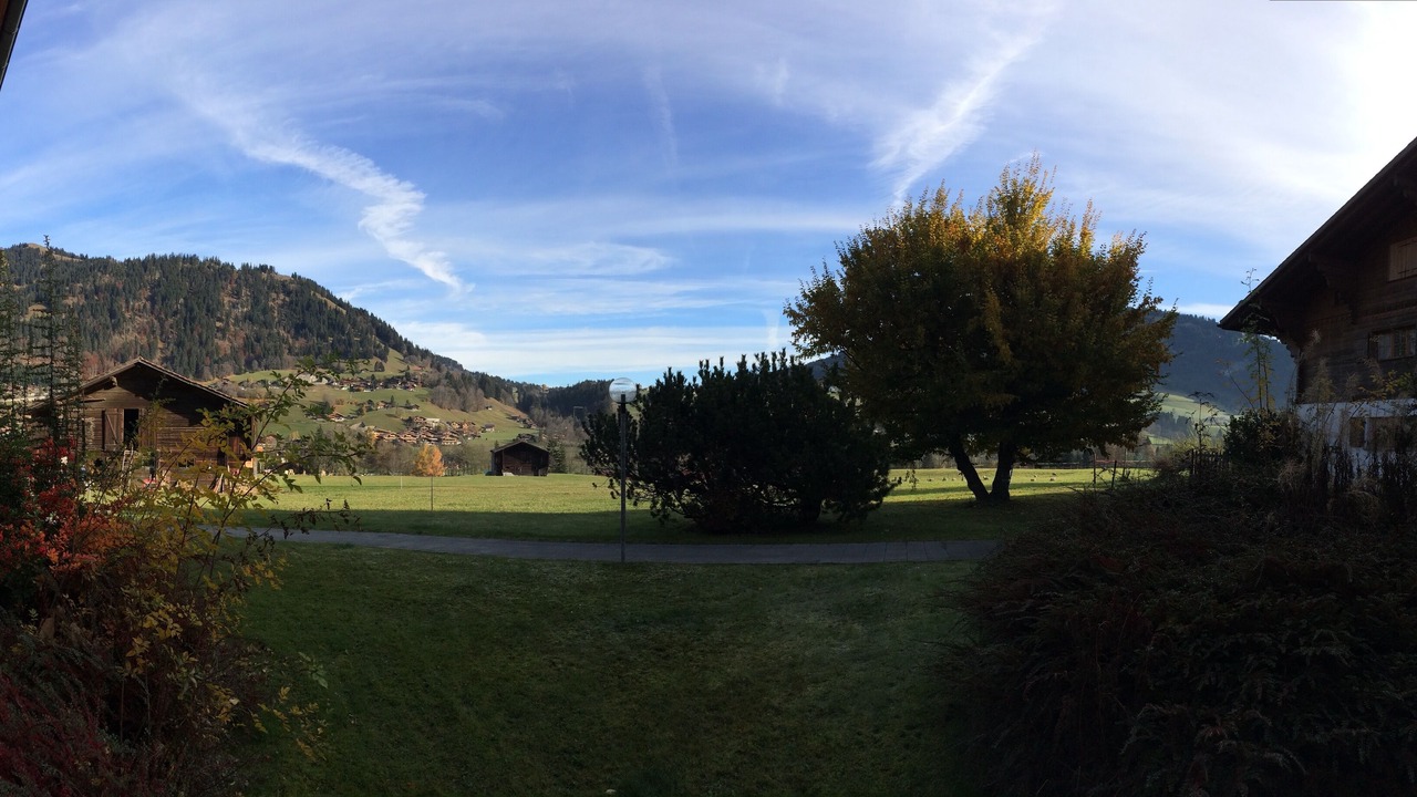 Photo of Outdoor in Saanen