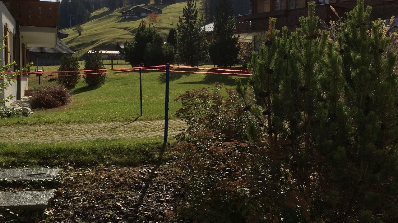 Photo of Outdoor in Saanen