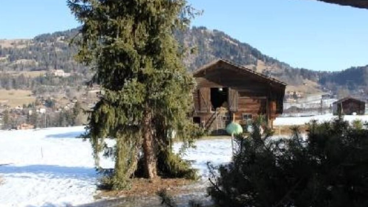 Photo of Outdoor in Saanen
