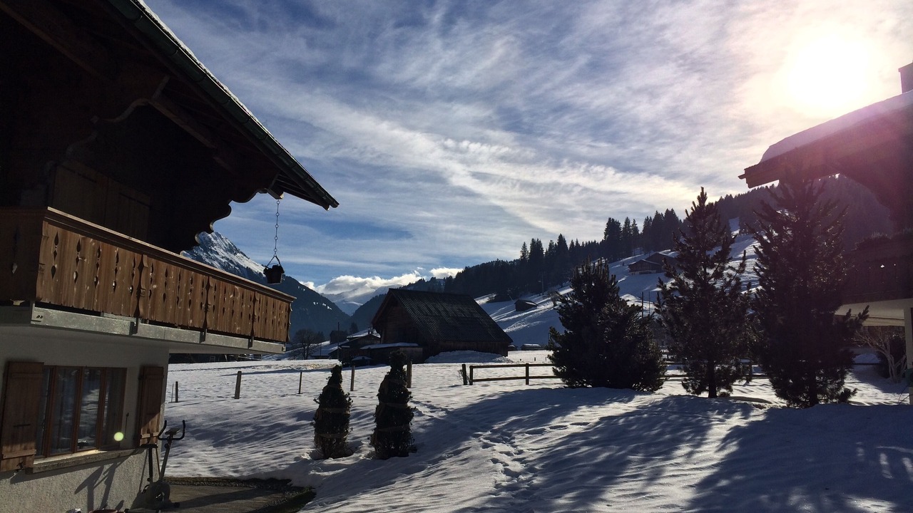 Photo of Others in Saanen