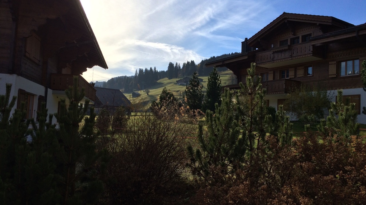 Photo of Outdoor in Saanen