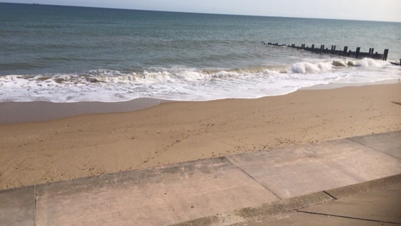 Photo of Others in Walcott