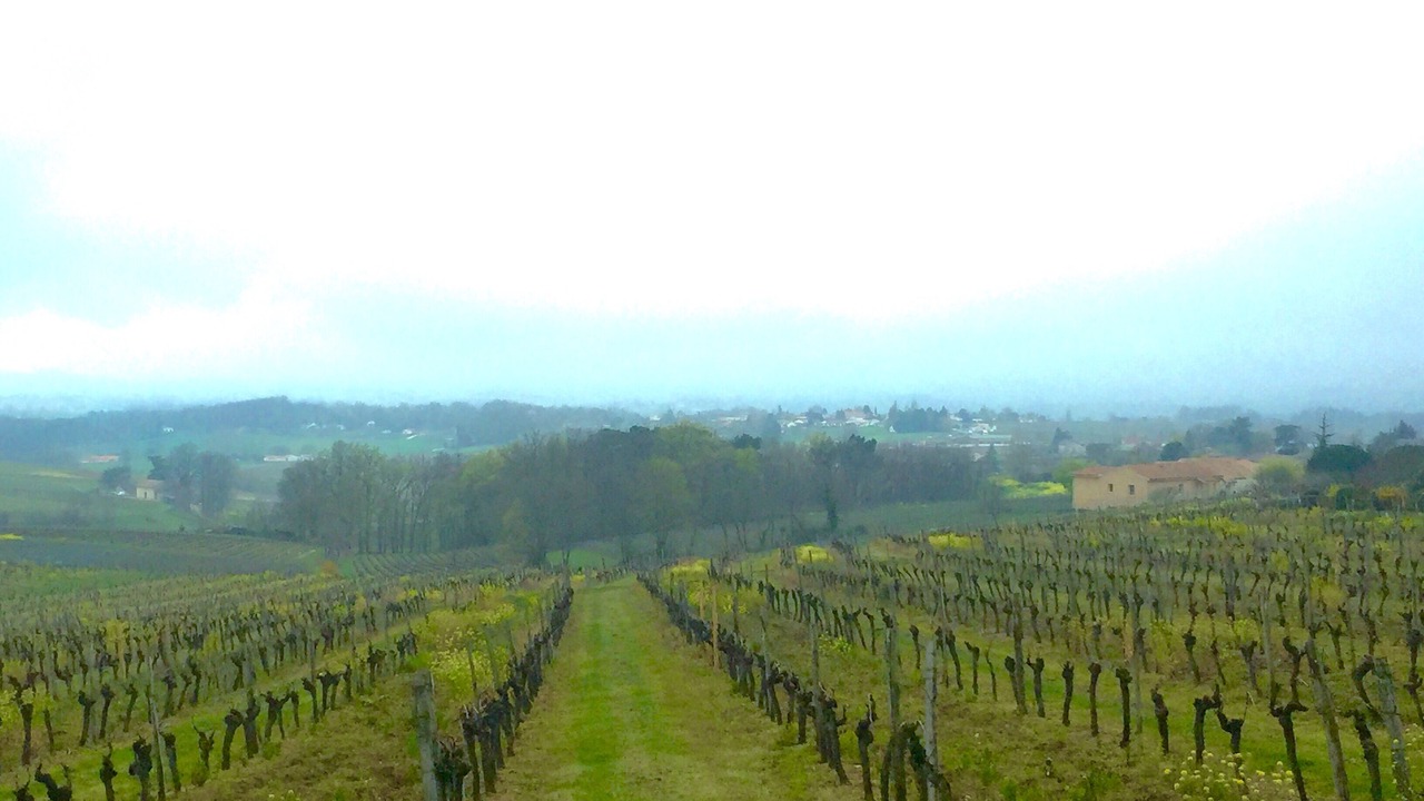 Photo of Outdoor in Montpeyroux