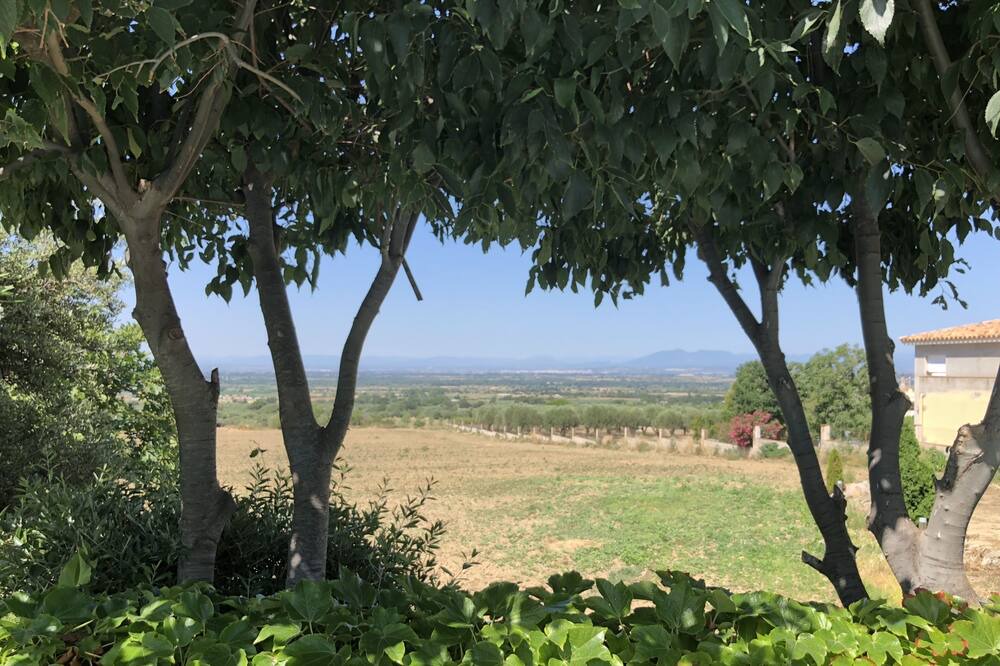 Photo of Outdoor in Palau-Saverdera