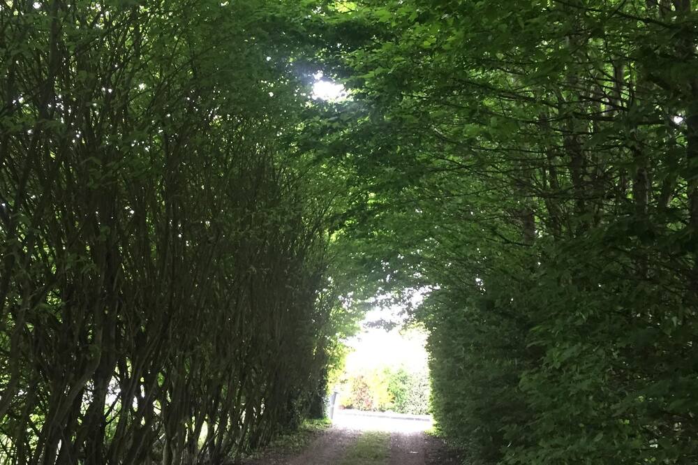 Photo of Outdoor in Beuzeville