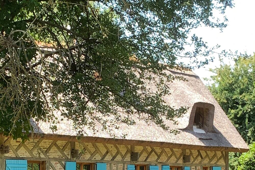Photo of Outdoor in Beuzeville