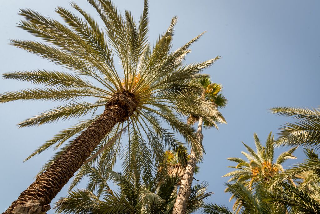 Photo of Outdoor in San Miguel de Salinas