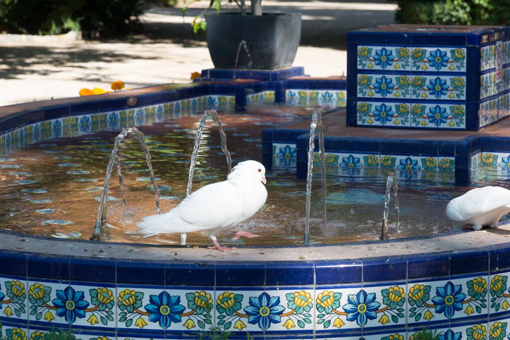 Photo of Outdoor in San Miguel de Salinas