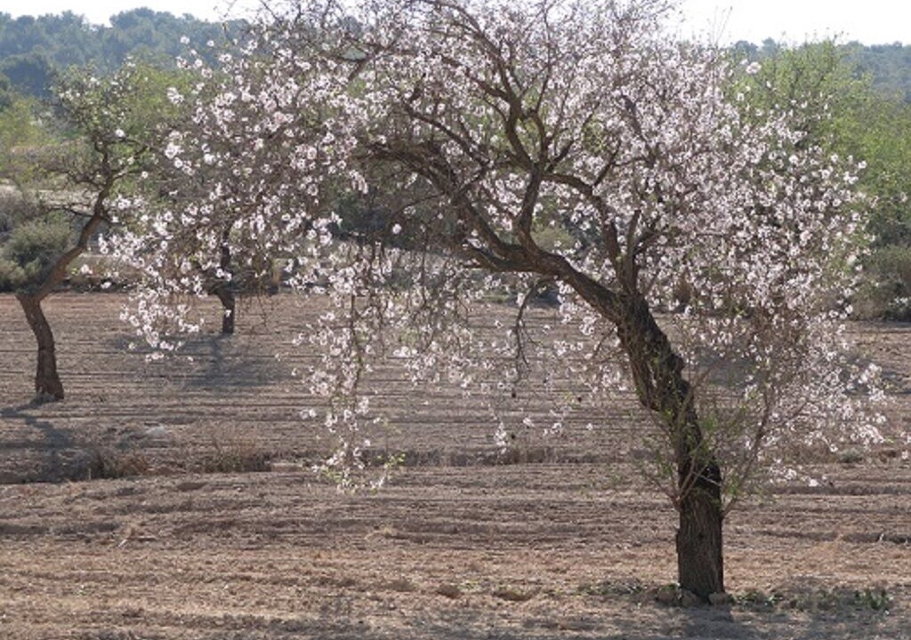 Photo of Outdoor in San Miguel de Salinas