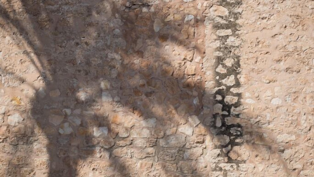 Photo of Others in San Miguel de Salinas