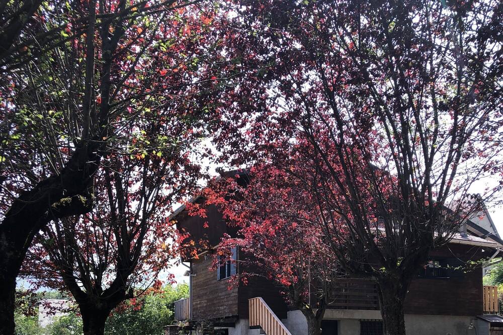 Photo of Outdoor in Garin