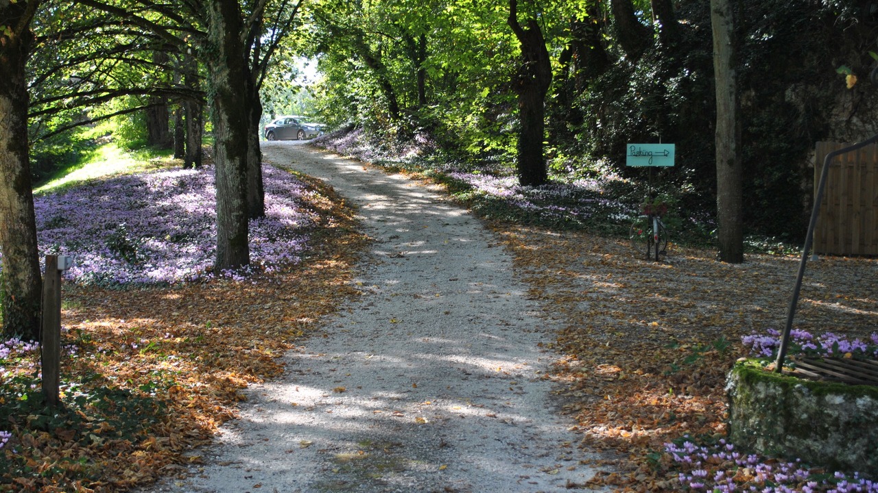 Photo of Outdoor in Agen