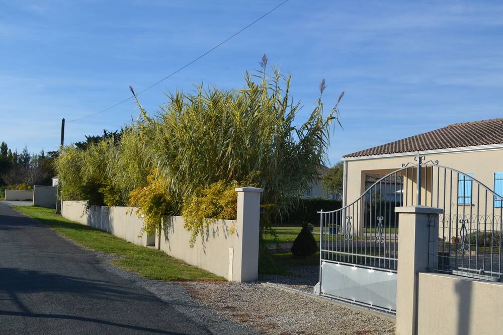 Photo of Outdoor in Mortagne-sur-Gironde