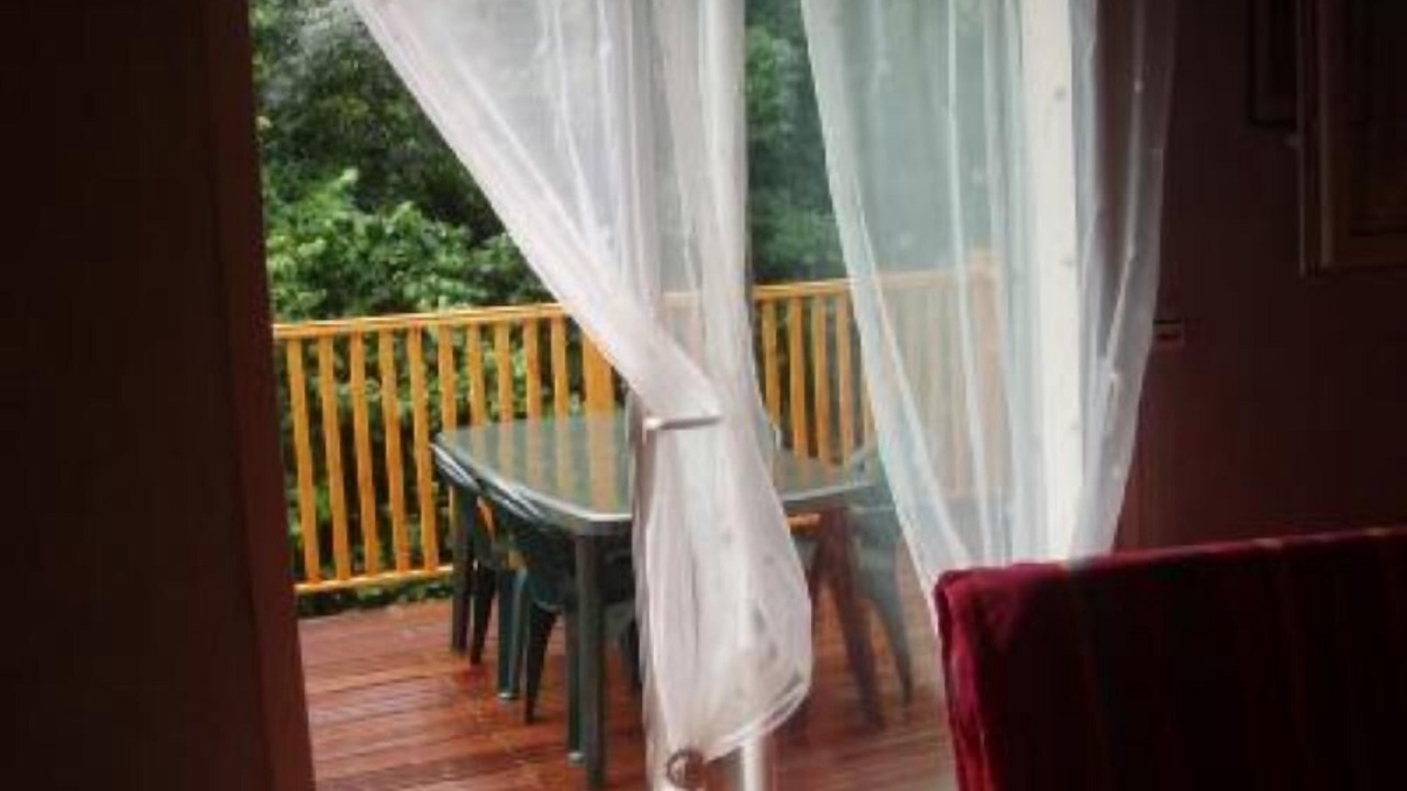 Photo of Outdoor in Aragnouet