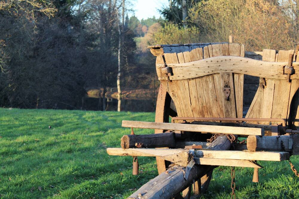 Photo of Outdoor in Larchamp