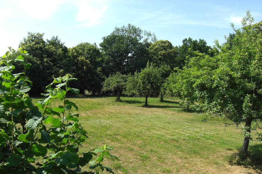 Photo of Outdoor in Larchamp