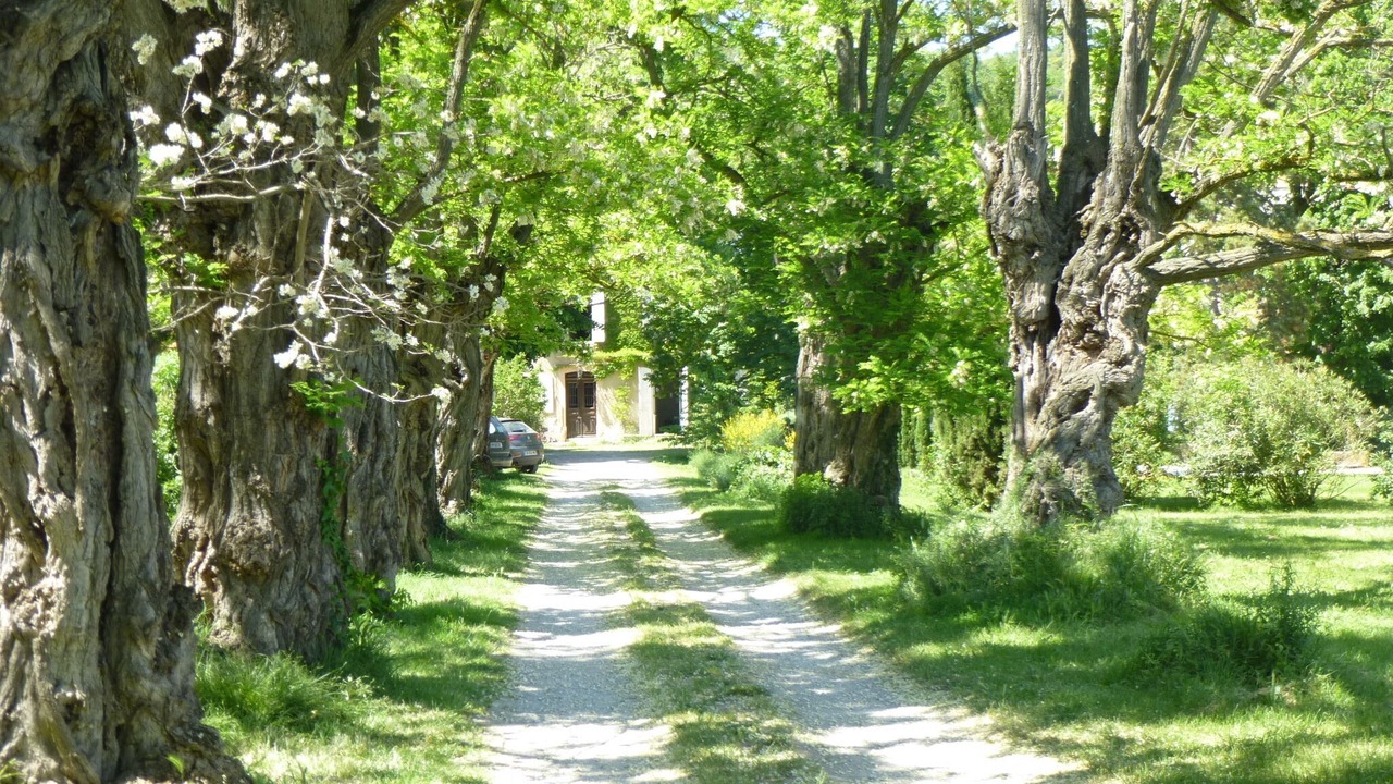 Photo of Outdoor in Cepie