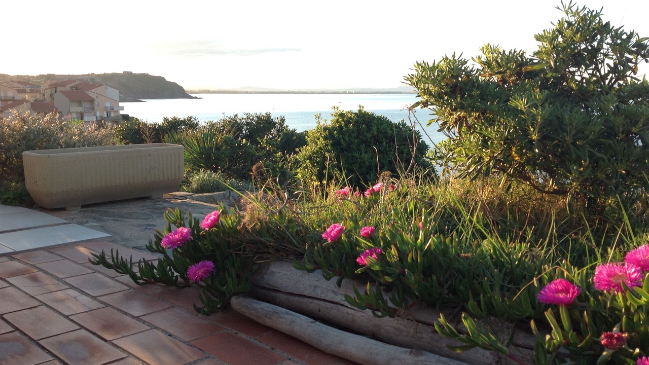 Photo of Outdoor in Port-Vendres