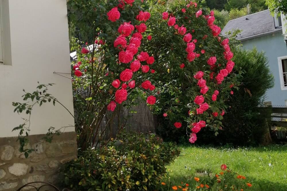 Photo of Outdoor in Esterre