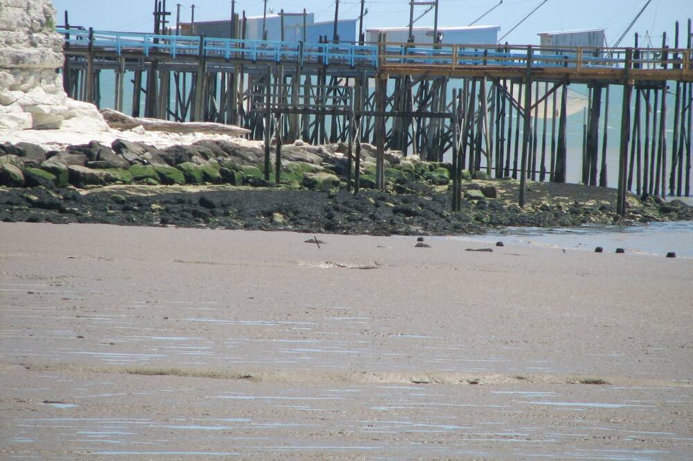 Photo of Others in Segonzac