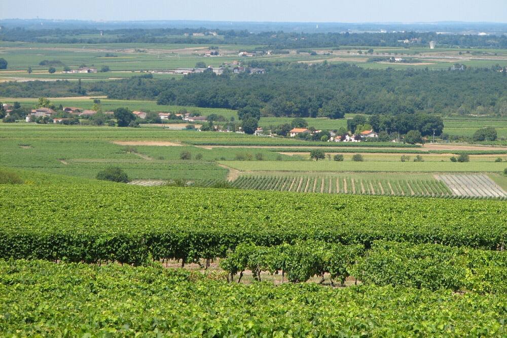 Photo of Outdoor in Segonzac