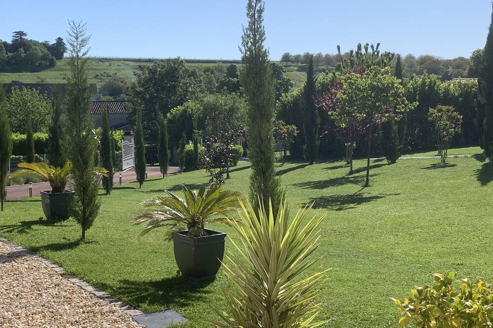 Photo of Outdoor in Segonzac