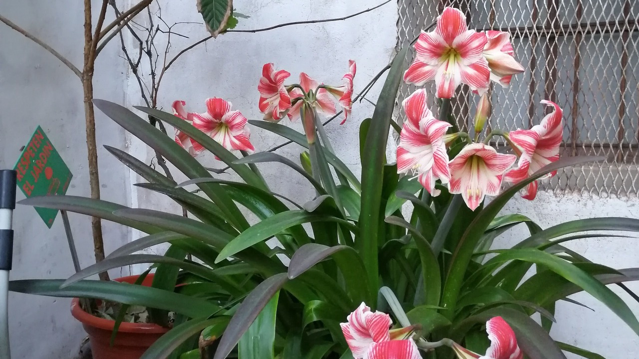 Photo of Outdoor in Tarazona