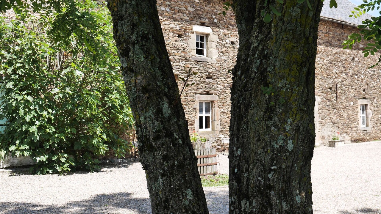Photo of Outdoor in Padies